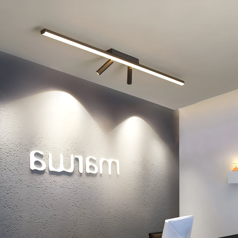 Acanthus - Justerbar LED-skenspotlight i tak 1