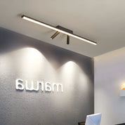 Acanthus - Justerbar LED-skenspotlight i tak 1