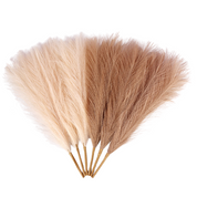 Boho Pampas Dekoration – Set med 6 Färger för Elegant Inredning 2