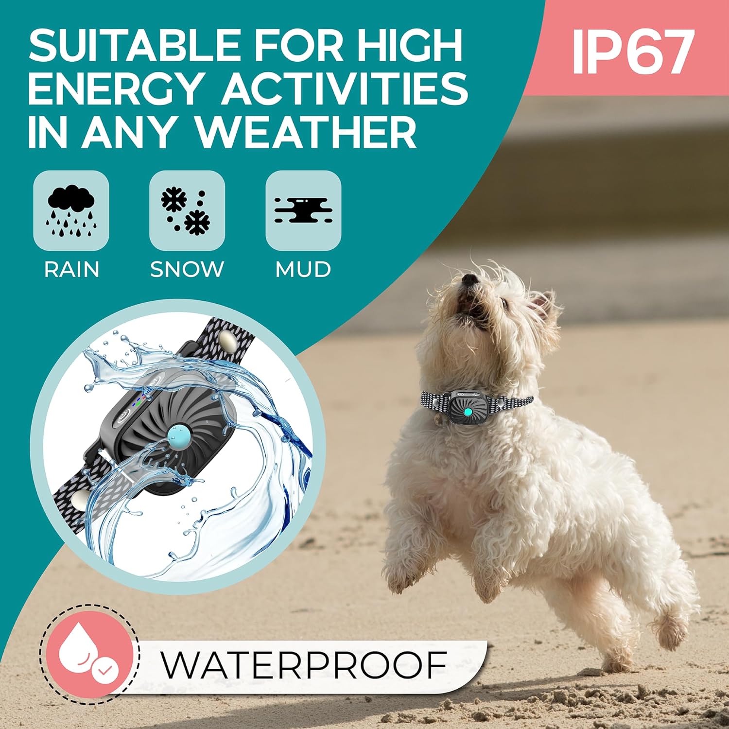 Lenny | Halsband mot skällande – Avslappnad vardag för små hundar 5