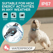 Lenny | Halsband mot skällande – Avslappnad vardag för små hundar 5