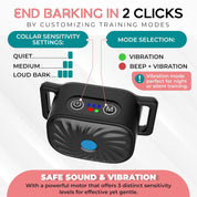 Lenny | Halsband mot skällande – Avslappnad vardag för små hundar 6