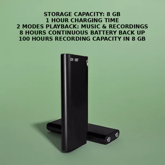 Mini röstinspelare 1