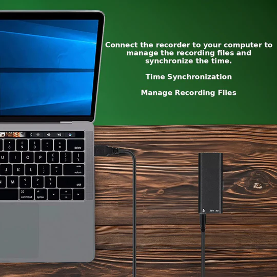 Mini röstinspelare 3