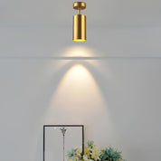 Olenia - Justerbar modern LED-taklampa med roterande armar 1