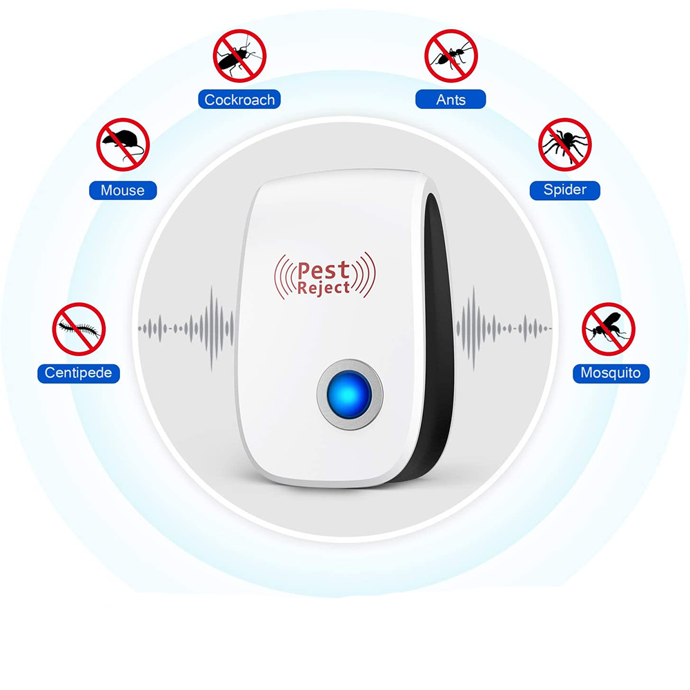 Skadedjursavvisning: Inga fler problem med insekter! 5