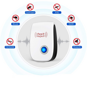 Skadedjursavvisning: Inga fler problem med insekter! 5