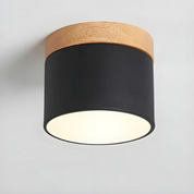 Vesta - Vintage LED-taklampa 0