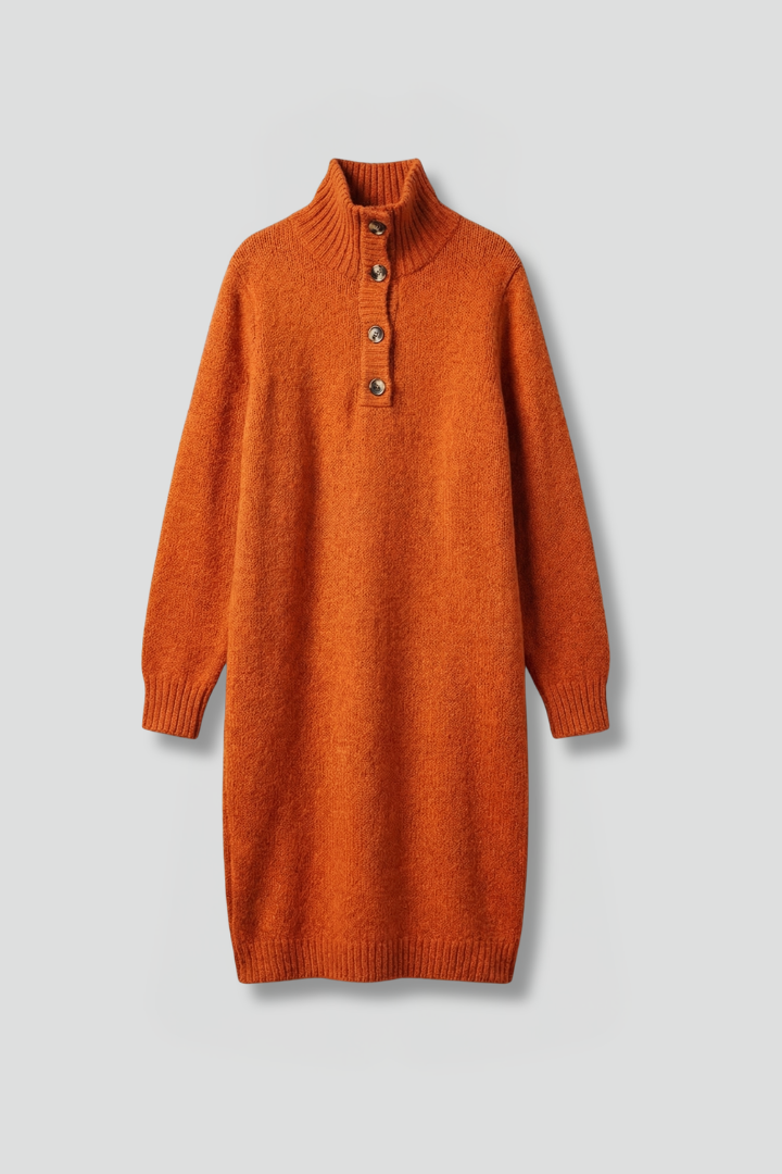 Women’s High Neck Jumper Dress with Button Placket and Ribbed Texture 1