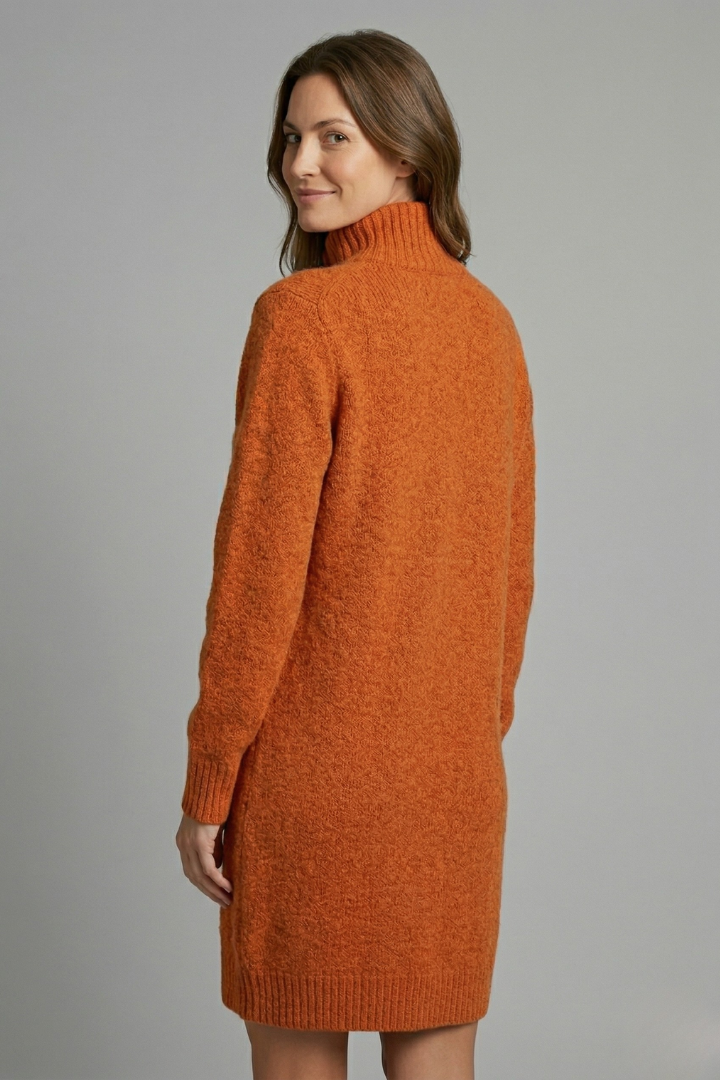 Women’s High Neck Jumper Dress with Button Placket and Ribbed Texture 4